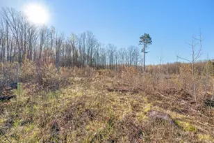 16107 12 Mile Rd, Leroy, MI 49655 - Photo 29