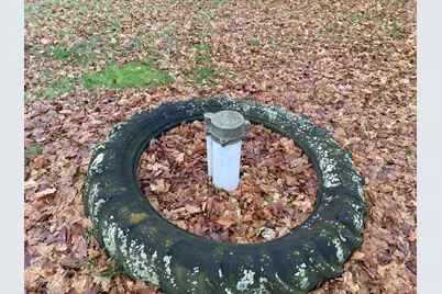 951 Olds Road, Union City, MI 49094 - Photo 43