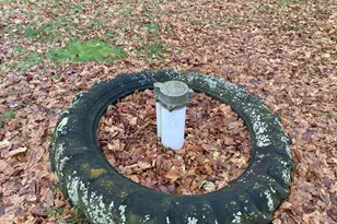 951 Olds Rd, Union City, MI 49094 - Photo 43