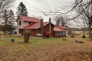 951 Olds Rd, Union City, MI 49094 - Photo 5