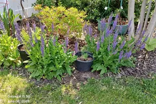 4728 Macatawa Legends Blvd, Holland, MI 49424 - Photo 61