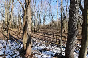 1767 Flanders Rd, Charlotte, MI 48813 - Photo 45