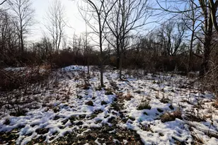 1767 Flanders Rd, Charlotte, MI 48813 - Photo 15