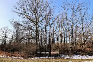 1767 Flanders Rd, Charlotte, MI 48813 - Photo 11