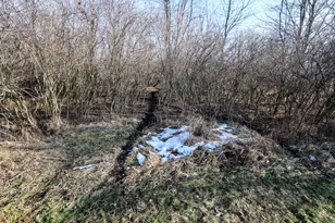 1767 Flanders Rd, Charlotte, MI 48813 - Photo 33