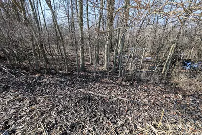 1767 Flanders Road, Charlotte, MI 48813 - Photo 81