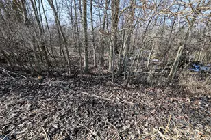 1767 Flanders Rd, Charlotte, MI 48813 - Photo 81