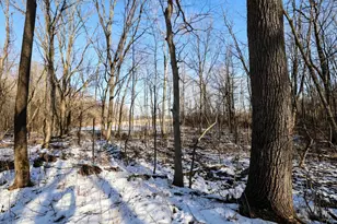 1767 Flanders Rd, Charlotte, MI 48813 - Photo 9
