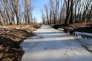 1767 Flanders Rd, Charlotte, MI 48813 - Photo 39