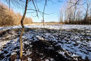 1767 Flanders Rd, Charlotte, MI 48813 - Photo 47