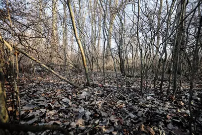 1767 Flanders Road, Charlotte, MI 48813 - Photo 17