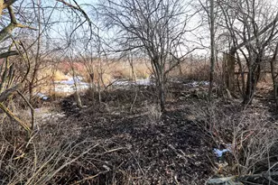 1767 Flanders Rd, Charlotte, MI 48813 - Photo 23