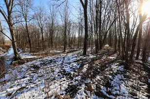 1767 Flanders Rd, Charlotte, MI 48813 - Photo 9