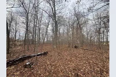 00 25A 89th, Decatur, MI 49045 - Photo 9