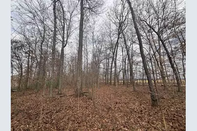 00 25A 89th, Decatur, MI 49045 - Photo 13