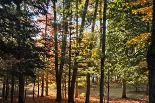 1089 Greensview Dr, Manistee, MI 49660 - Photo 1