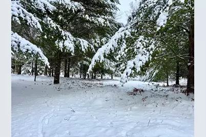 1089 Greensview Drive, Manistee, MI 49660 - Photo 5