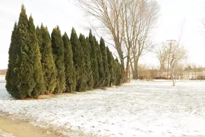 717 E Girard Road, Quincy, MI 49082 - Photo 5