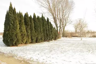 717 E Girard Rd, Quincy, MI 49082 - Photo 5