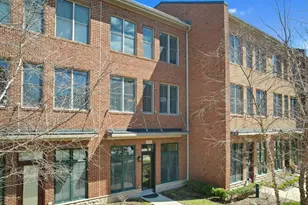 509 Lewis St, Birmingham, MI 48009 - Photo 13