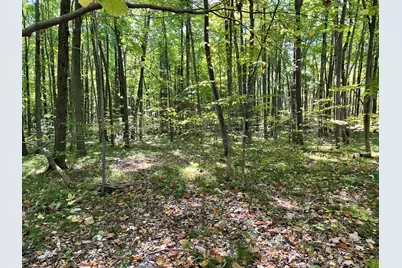 2195 20 Mile Road NW, Kent City, MI 49330 - Photo 57