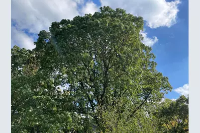 2195 20 Mile Road NW, Kent City, MI 49330 - Photo 73