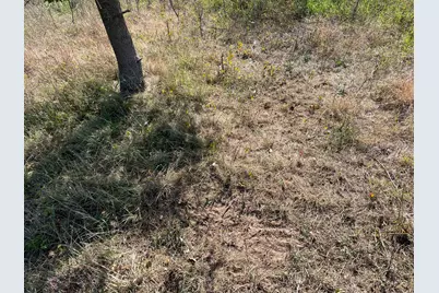 2195 20 Mile Road NW, Kent City, MI 49330 - Photo 83