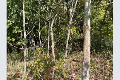 2195 20 Mile Road NW, Kent City, MI 49330 - Photo 69