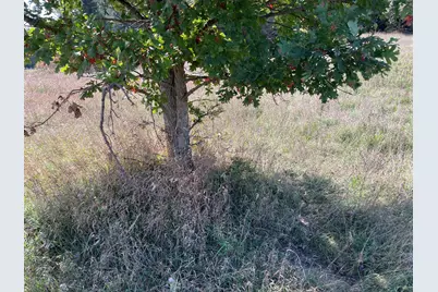 2195 20 Mile Road NW, Kent City, MI 49330 - Photo 79