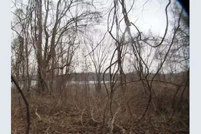 17673 Long Lake Drive, Cassopolis, MI 49031 - Photo 1