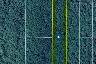 5942 N Woodbridge Rd, White Cloud, MI 49349 - Photo 17