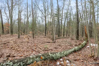 V/L W Wood Lake Road, Pierson, MI 49339 - Photo 7