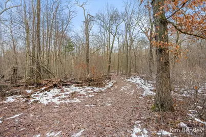 V/L W Wood Lake Road, Pierson, MI 49339 - Photo 11