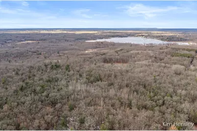 V/L W Wood Lake Road, Pierson, MI 49339 - Photo 21