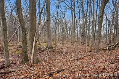 Vl E T U Avenue, Vicksburg, MI 49097 - Photo 43