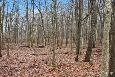 Vl E T U Avenue, Vicksburg, MI 49097 - Photo 45