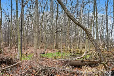 Vl E T U Avenue, Vicksburg, MI 49097 - Photo 47