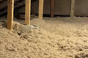 5900 Benton Rd, Jackson, MI 49201 - Photo 51