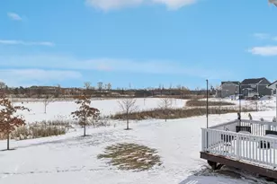 233 Campolina St, Chelsea, MI 48118 - Photo 47