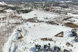 233 Campolina St, Chelsea, MI 48118 - Photo 59