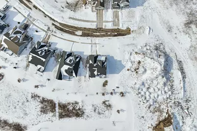 233 Campolina Street, Chelsea, MI 48118 - Photo 55