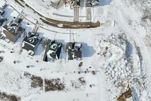 233 Campolina St, Chelsea, MI 48118 - Photo 55