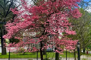 1000 W Washington Ave, Jackson, MI 49203 - Photo 51