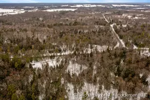 8081 E Arthur Rd, Hesperia, MI 49421 - Photo 65