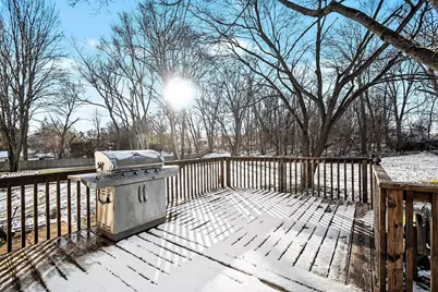 917 N Detroit Street, Buchanan, MI 49107 - Photo 5