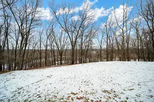 644 Grat Strasse Rd, Manchester, MI 48158 - Photo 63