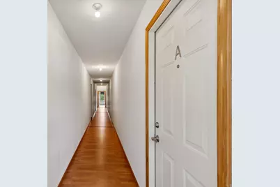 217 E Front Street, Buchanan, MI 49107 - Photo 25