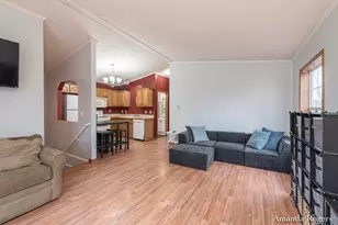 13447 Christopher St, Lake Odessa, MI 48849 - Photo 7