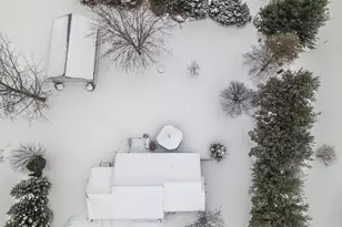 9073 Wabasis Shores Dr NE, Greenville, MI 48838 - Photo 33