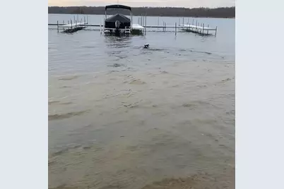 9073 Wabasis Shores Drive NE, Greenville, MI 48838 - Photo 37